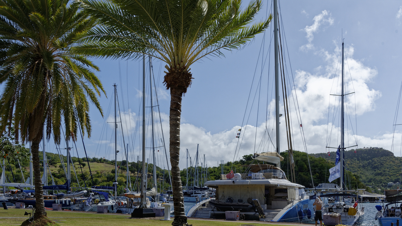 20170208 103652•Falmouth•Saint Paul•Antigua and Barbuda